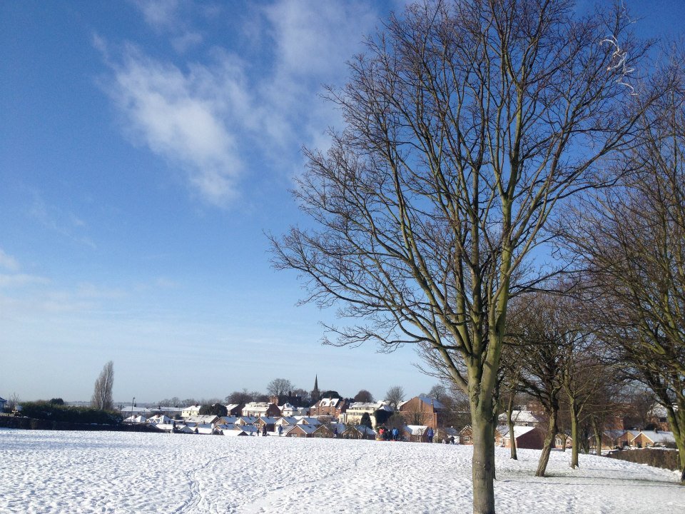 Photograph of Snow on South Avenue Park