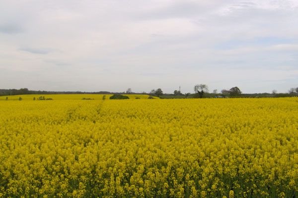 Photograph of West Meadows Local Nature Reserve