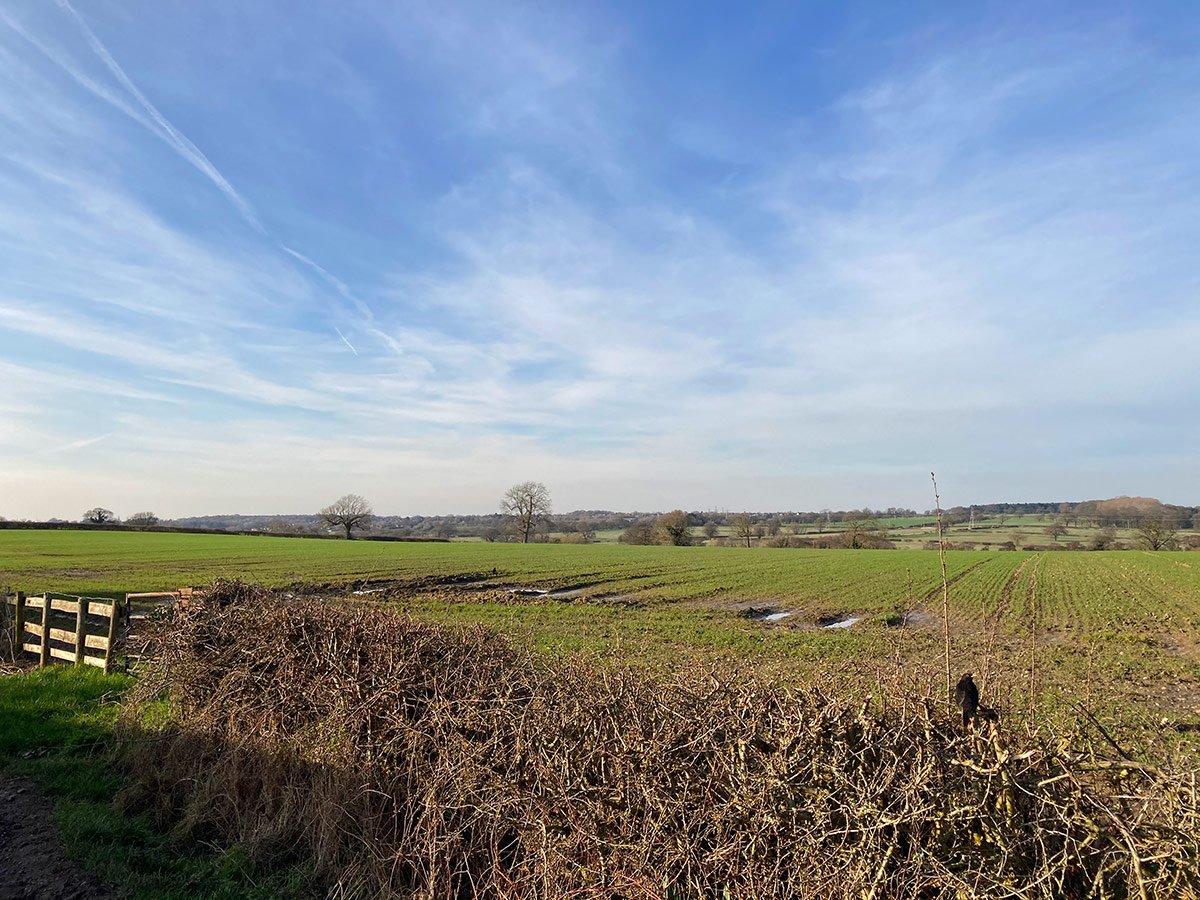 Photograph of Longley Lane fields in the springtime