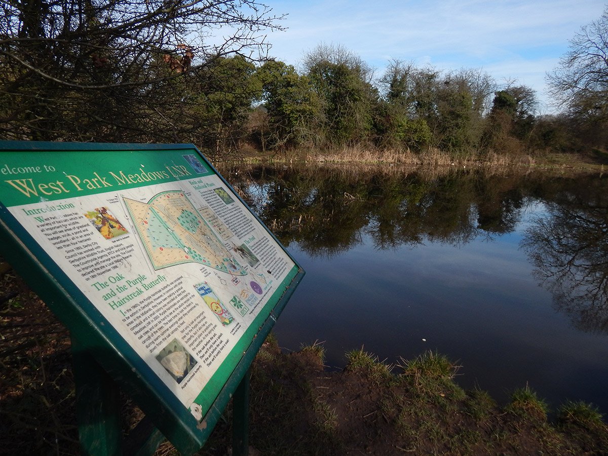 Photograph of West Park Meadows pond